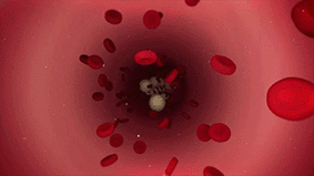 7.gif