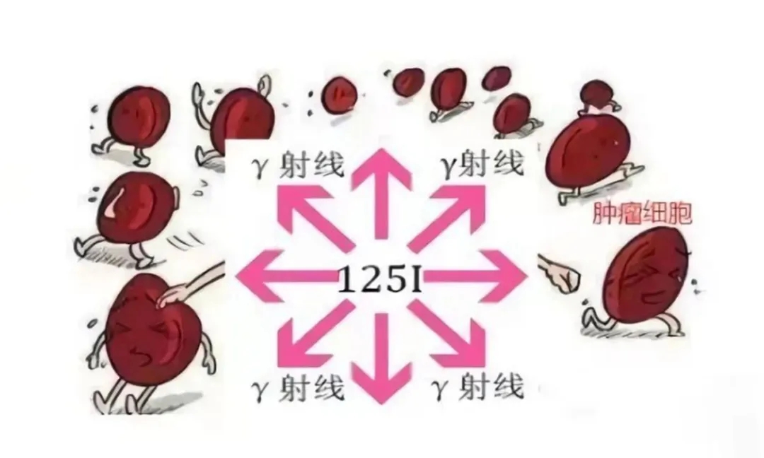 粒子.jpg